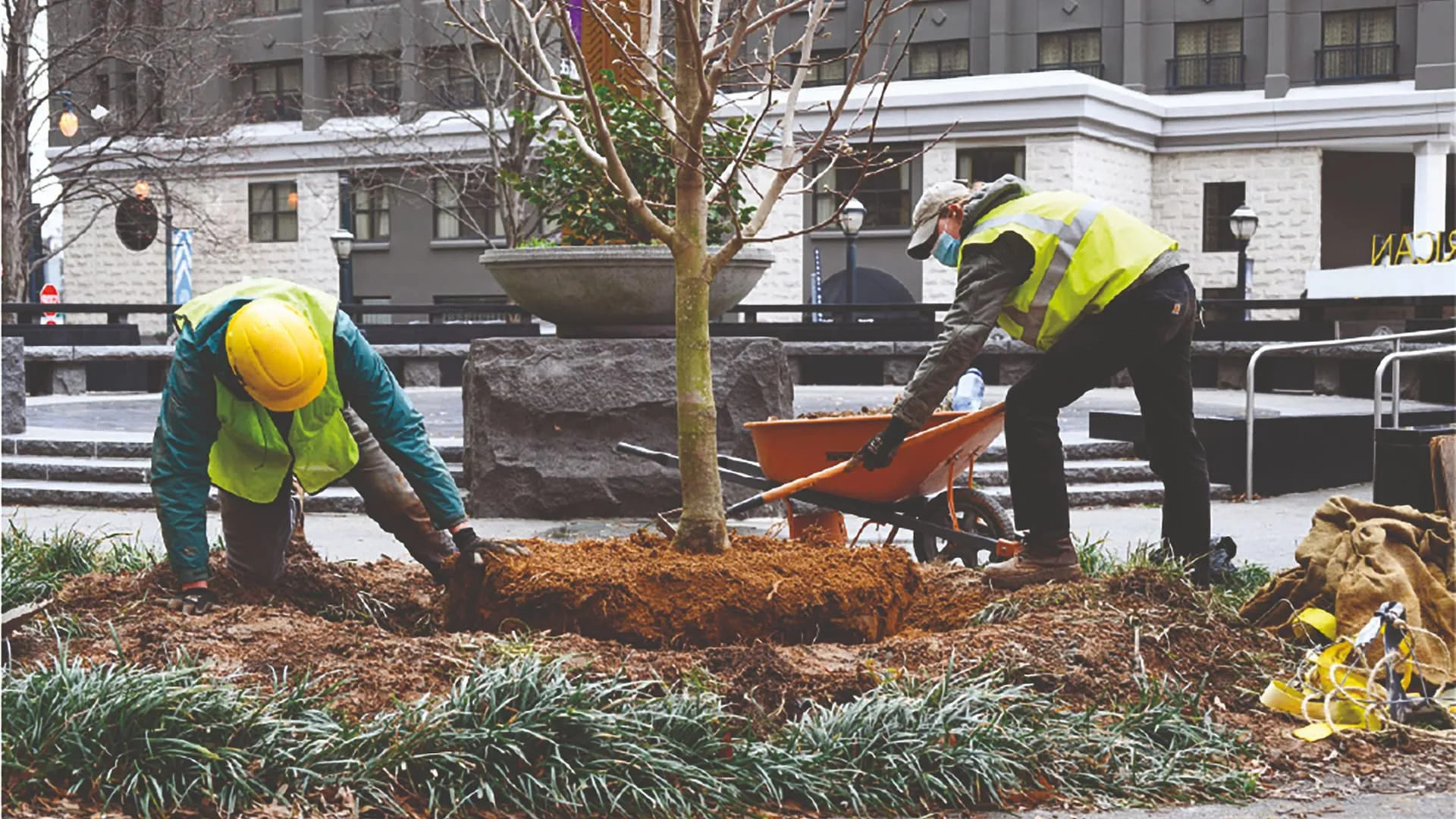 Imagen de cuidado de espacios verdes